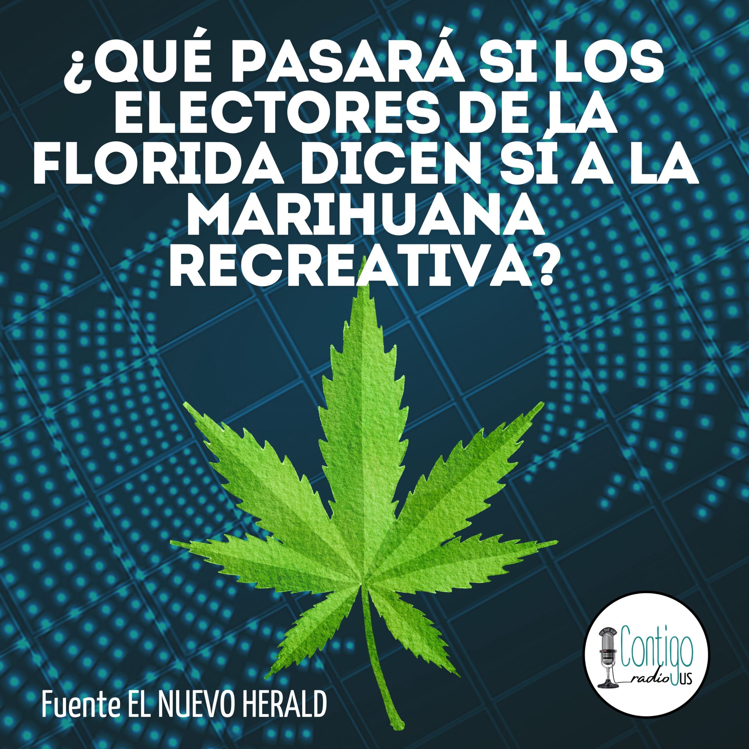 ¿Qué pasará si la Florida legaliza la marihuana recreativa? ¿Dónde se compraría y fumaría?