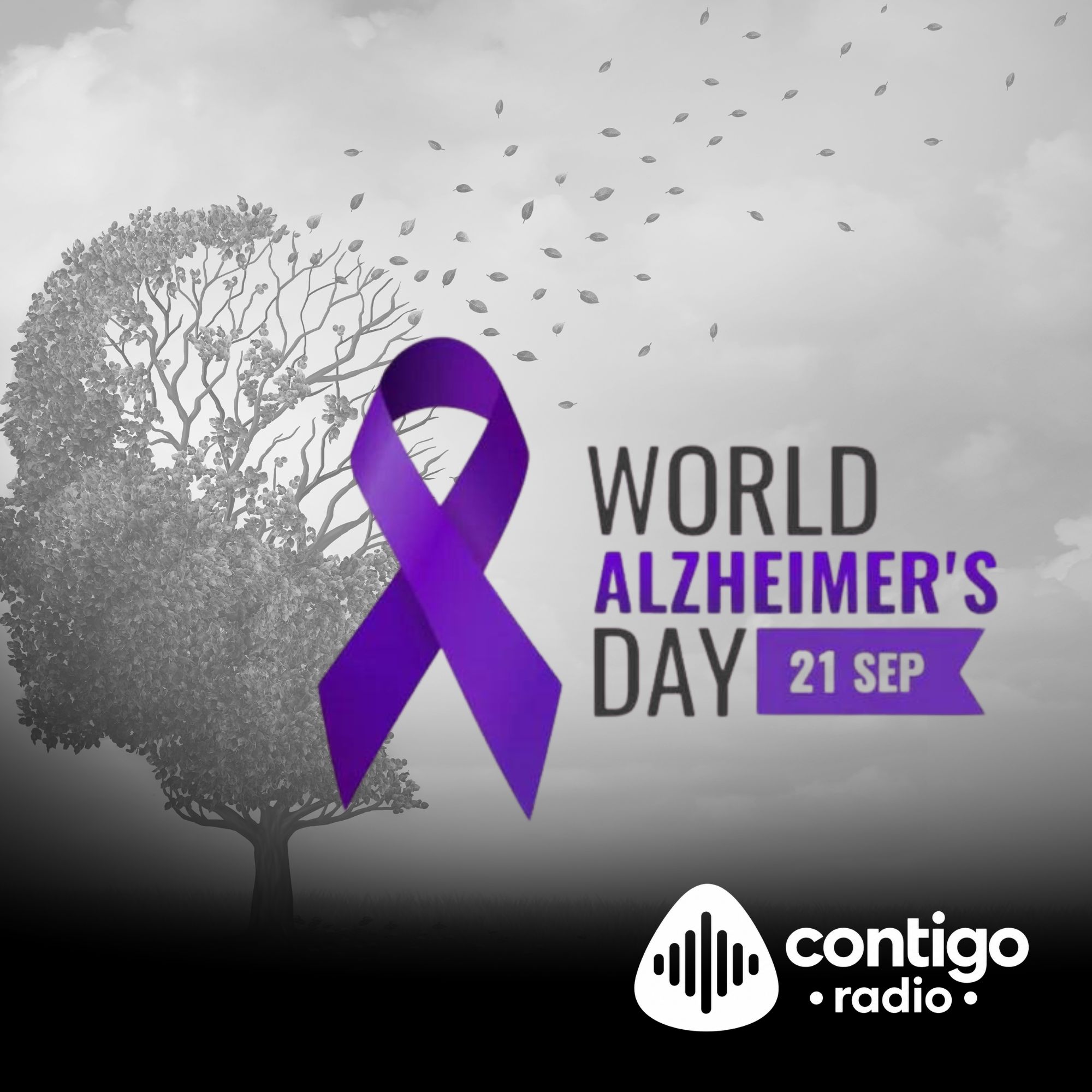 No existe una forma garantizada de prevenir el Alzheimer, pero hábitos saludables pueden ayudar a reducir el riesgo de demencia y cuidar la salud cerebral.